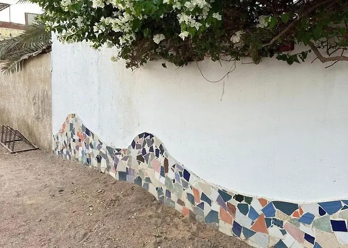 كوكي * Dahab
